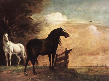 派勒斯 波特 Horses In A Field